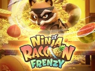Ninja Racoon Frenzy